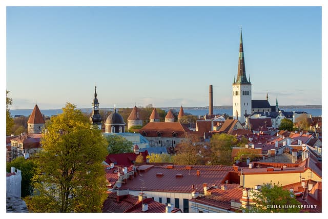 Tallinn la Médiévale : 10 jours entre vieille ville et îles sauvages