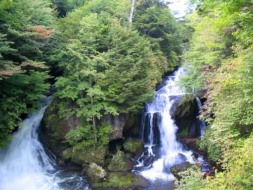 nikko-132