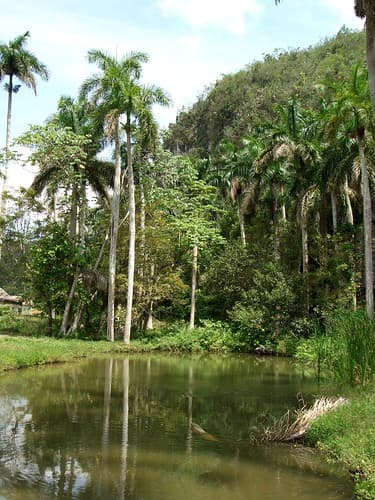 Pinar Del Rio - Cuba