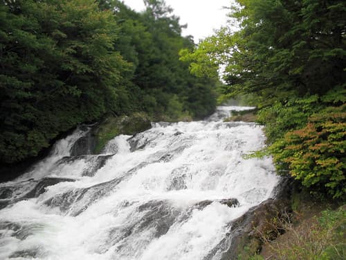 nikko-136