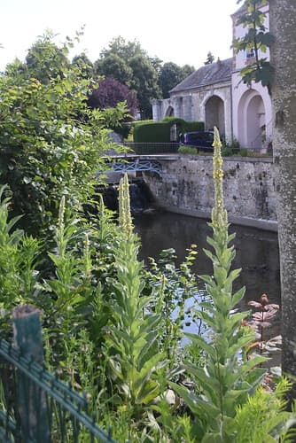 chartres, france