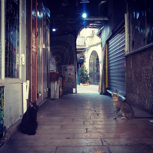 #Israel #jerusalem