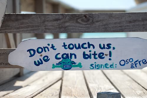 Don't touch us, we can bite! | 110513-4025-jikatu
