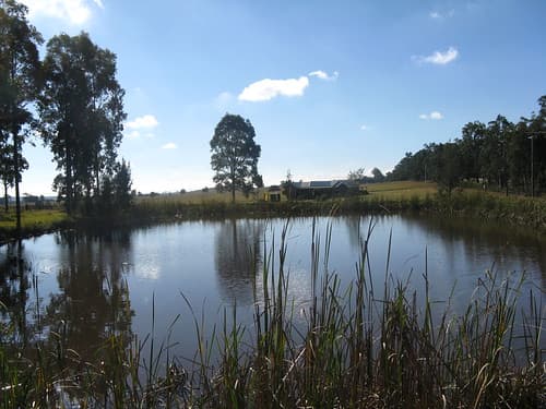 Hunter Valley