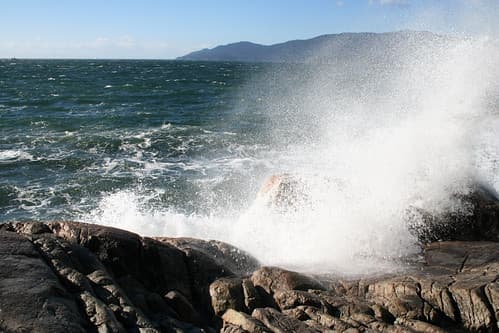 Wave Spray