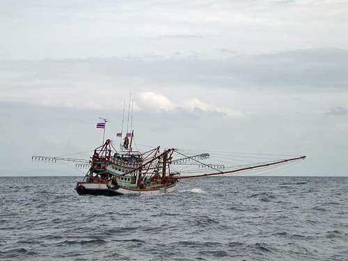 Pêcheurs Thaï