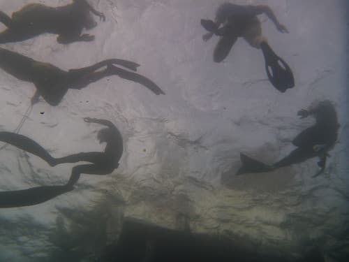 Free diving 039