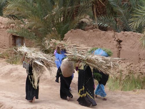 MarocZagora019