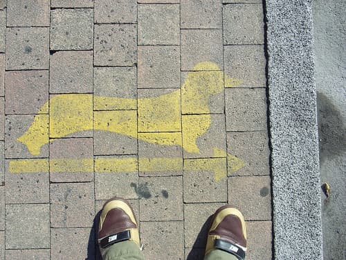 Pee here