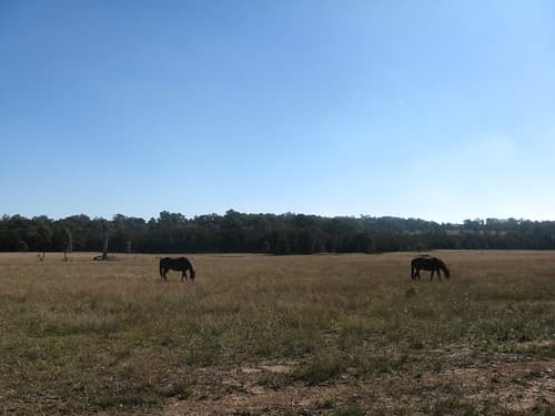 Hunter Valley