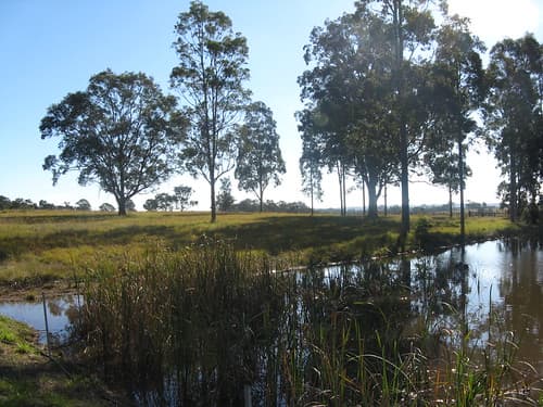 Hunter Valley