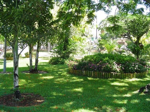 Jardins de la mairie, Saint Pierre