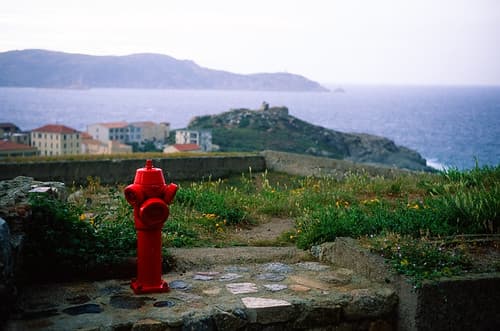 Calvi