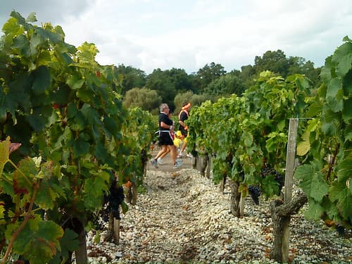 Marathon du Médoc France — photo de Kinolamp