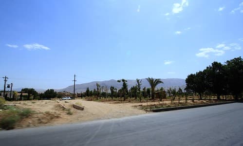 Shiraz