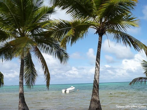 Punta Cana, Républica Dominicana (3)