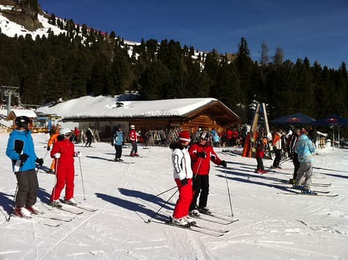 Selva 2011
