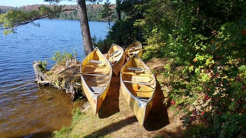 Algonquin Lake Jake-Canoe