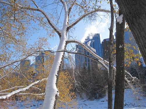 Last week it was 18C and had a nice 60km bike ride. Today woke up to -19C and shoveling snow