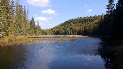 Algonquin Lake Jake-Canoe