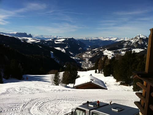 Selva 2011