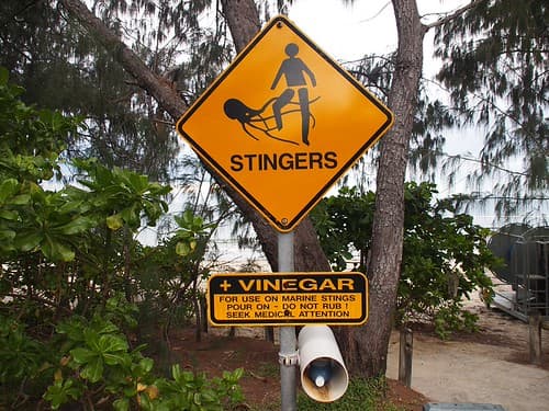 Warning sign for stinger jelly fish Port Douglas (Queensland Australia 2010)