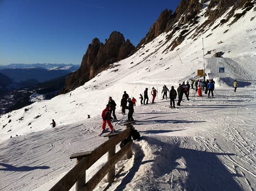 Selva 2011