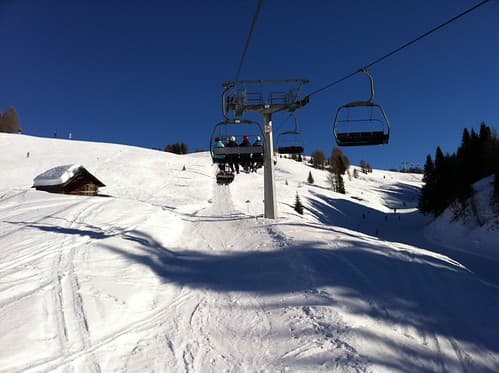 Selva 2011