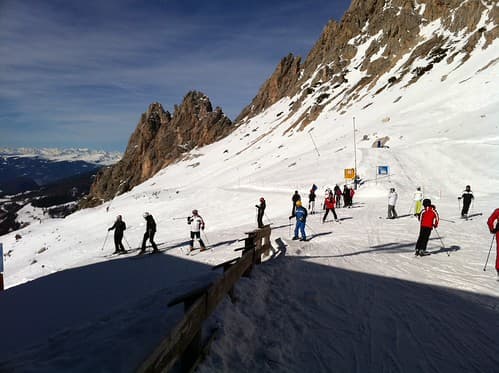 Selva 2011