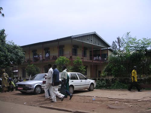 guinea3 - 1 (11)