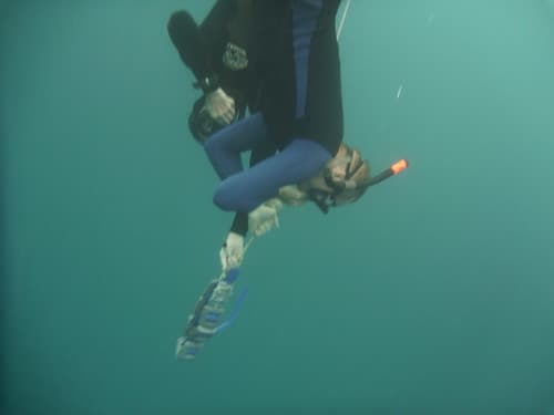 Free diving 030