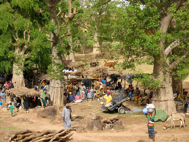 Découverte du Pays Dogon