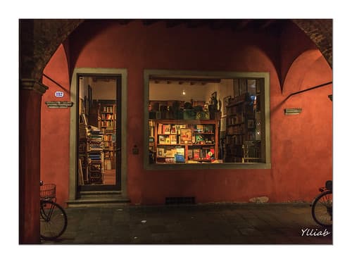 L'envie de lire - Libreria Antiquaria Stella - Padoue - Italie
