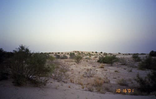 Sahara Desert, Timbuktu