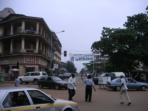 guinea3 - 1 (6)
