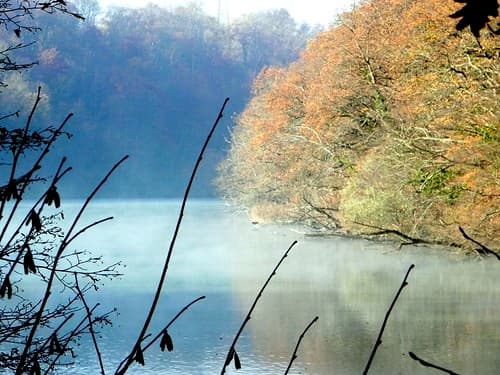 Walk along the Rhone