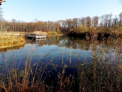 Walk along the Rhone