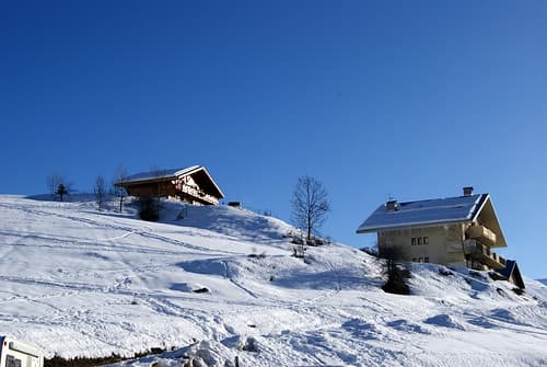 Auron
