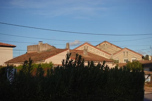 Coopérative vinicole