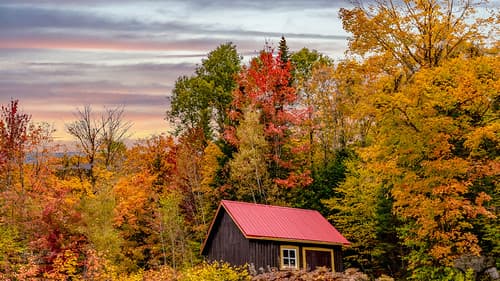 A Canadian Fall Landscape