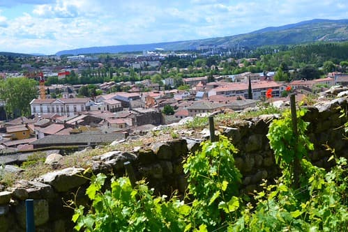 Well-known french vines côtes rôties