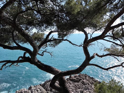 REGARD SUR LA MER
