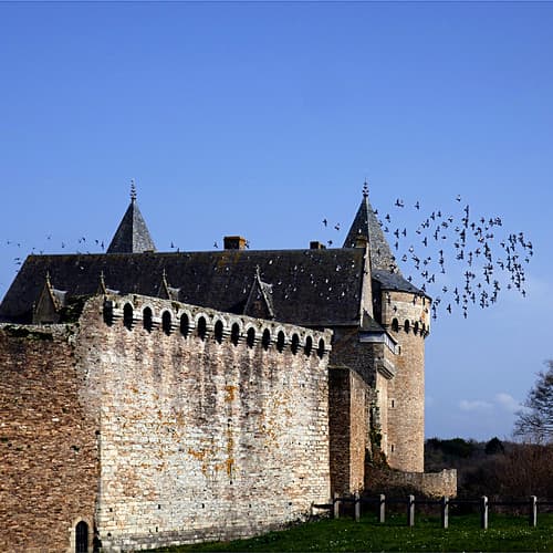 Suscino,  Morbihan, France