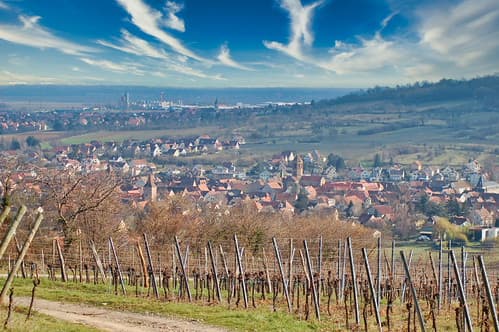Wine or Beer? It's all made here!