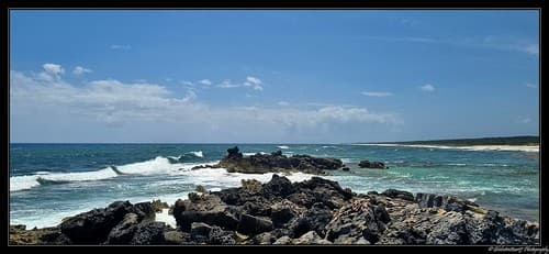 Dans les environs de Playa Del Carmen. (Etat du Quintana Roo). Mexique.