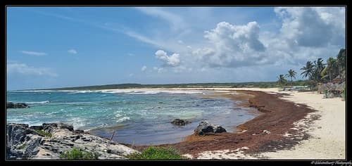 Dans les environs de Playa Del Carmen. (Etat du Quintana Roo). Mexique.
