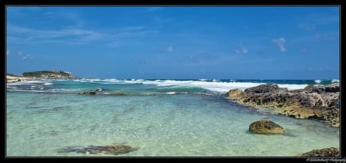 Dans les environs de Playa Del Carmen. (Etat du Quintana Roo). Mexique.