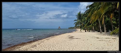 Dans les environs de Playa Del Carmen. (Etat du Quintana Roo). Mexique.