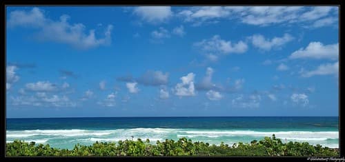 Dans les environs de Playa Del Carmen. (Etat du Quintana Roo). Mexique.