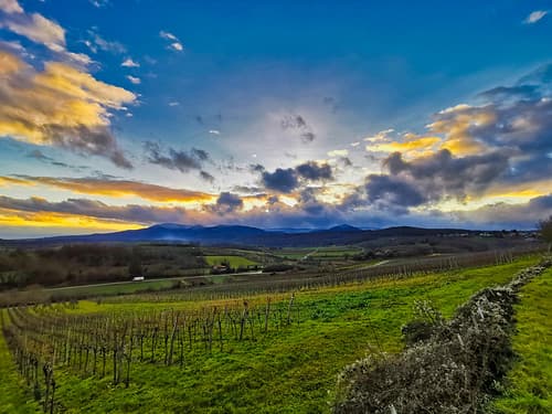 The Scenic Route